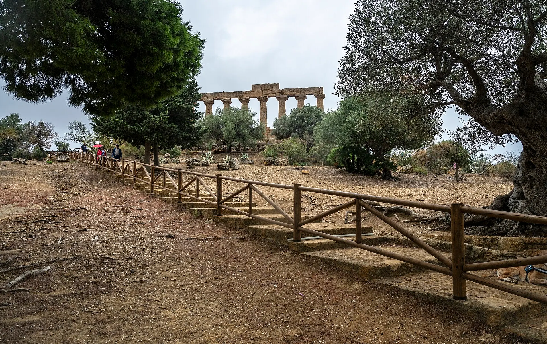 Weg mit Holzgeländer und Steinstufen zum sogenannten Hera-Tempel, links drei Besucher, Säulen mit Gebälk zwischen Oliven und Kiefern