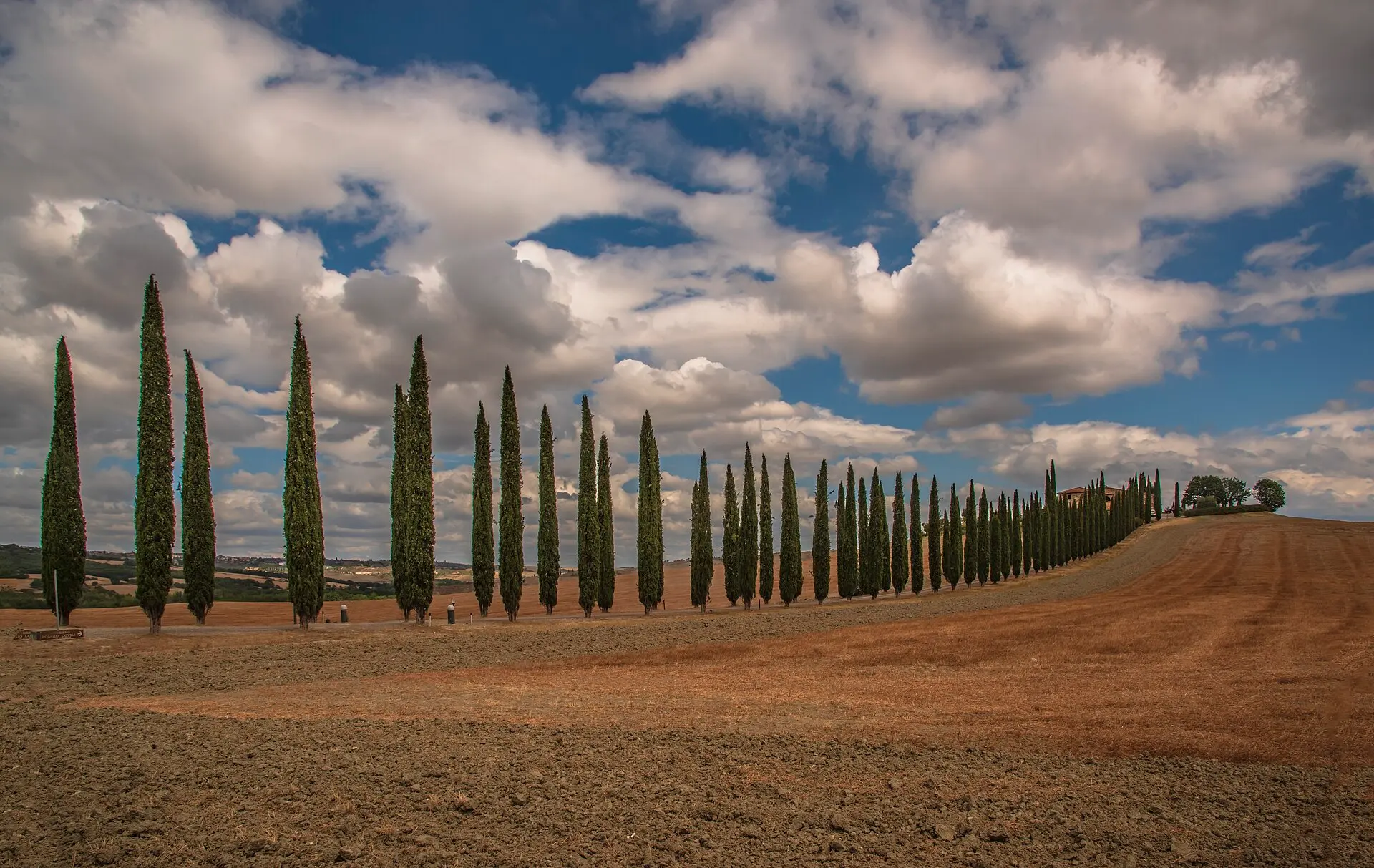 Lange Reihe von Zypressen entlang eines Weges bis zu einem Gehöft im Val d’Orcia, davor ein gepflügtes Feld, darüber Quellwolken