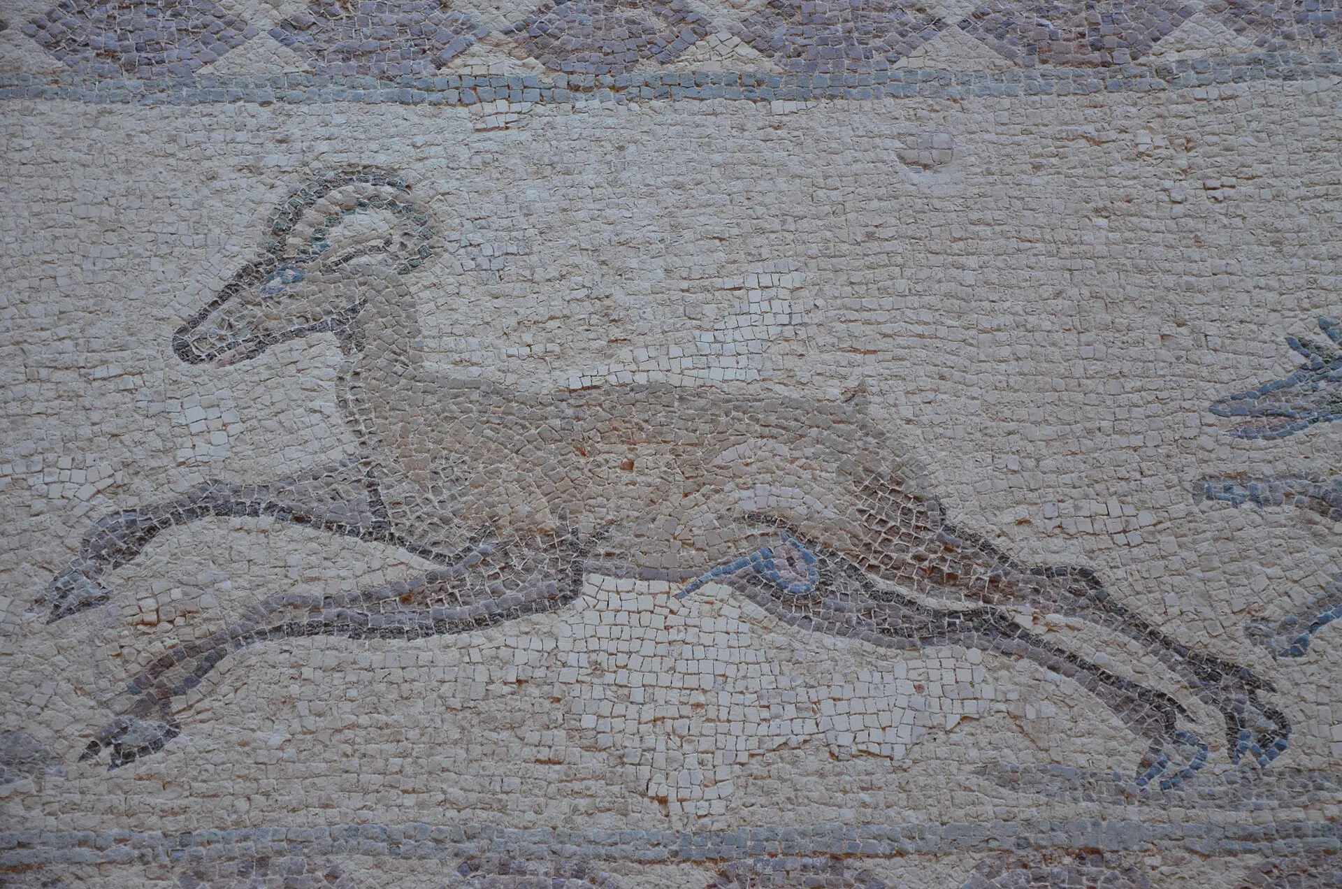 Ausschnitt eines Bodenmosaiks im Haus des Dionysos: ein springender Mufflon aus beigen, grauen und rötlichen Steinchen