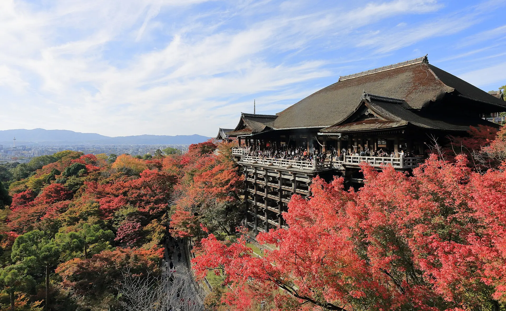 Holzbühne des Kiyomizu-dera auf hohem Pfahlgerüst, darauf viele kleine Besucher, ringsum rotes Herbstlaub, links hinten Kyoto und Berge