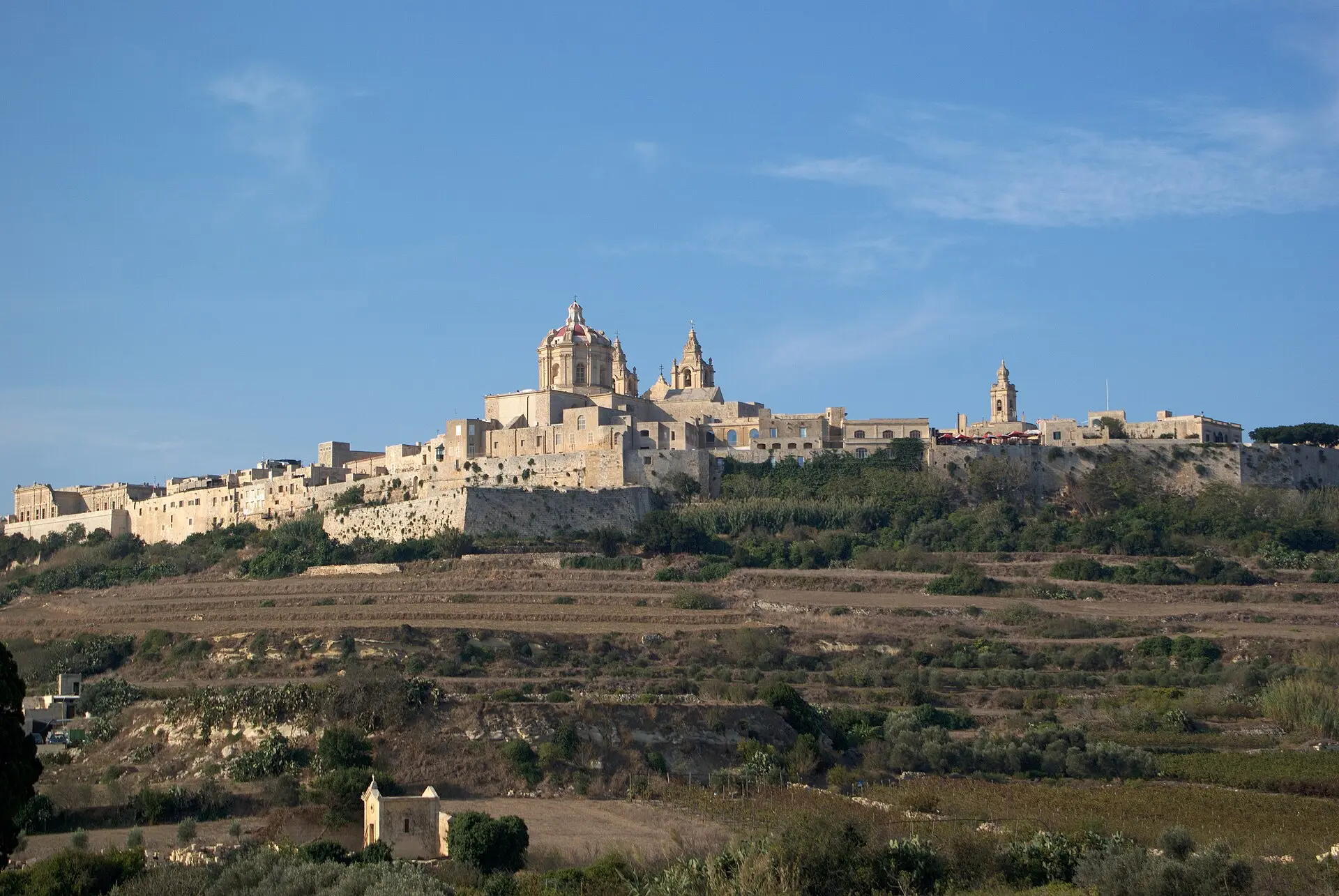 Mdina auf dem Hügel: ockerfarbene Stadtmauer mit Kathedralenkuppel und zwei Glockentürmen über terrassierten Feldern
