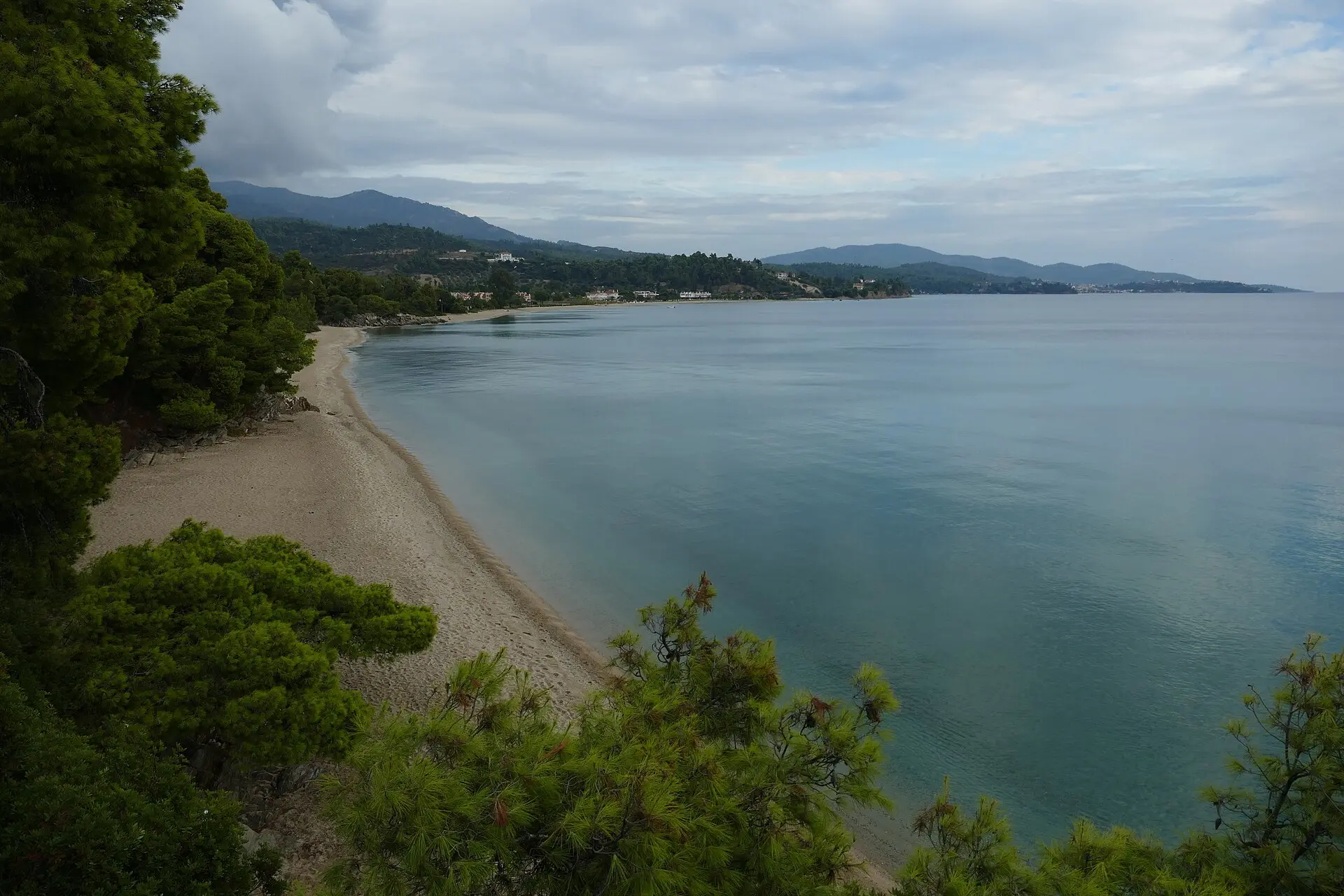 Leerer Sandstrand in einer Bucht auf Sithonia, Kiefern im Vordergrund, grünblaues Wasser und bewaldete Hügel
