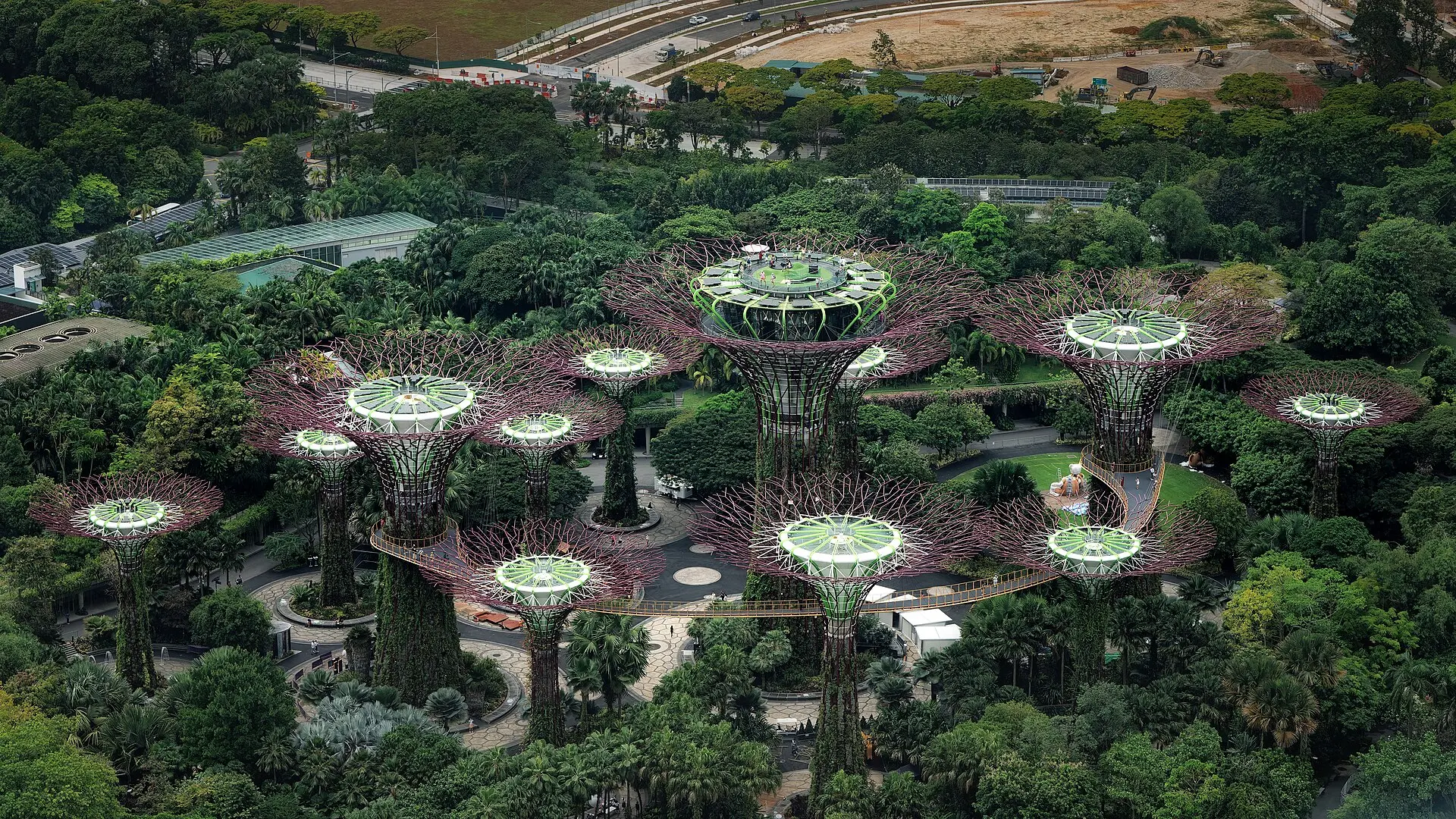 Supertree Grove von oben: stählerne Superbäume mit bepflanzten Stämmen und violetten Kronen, dazwischen ein Hängesteg und dichtes Grün