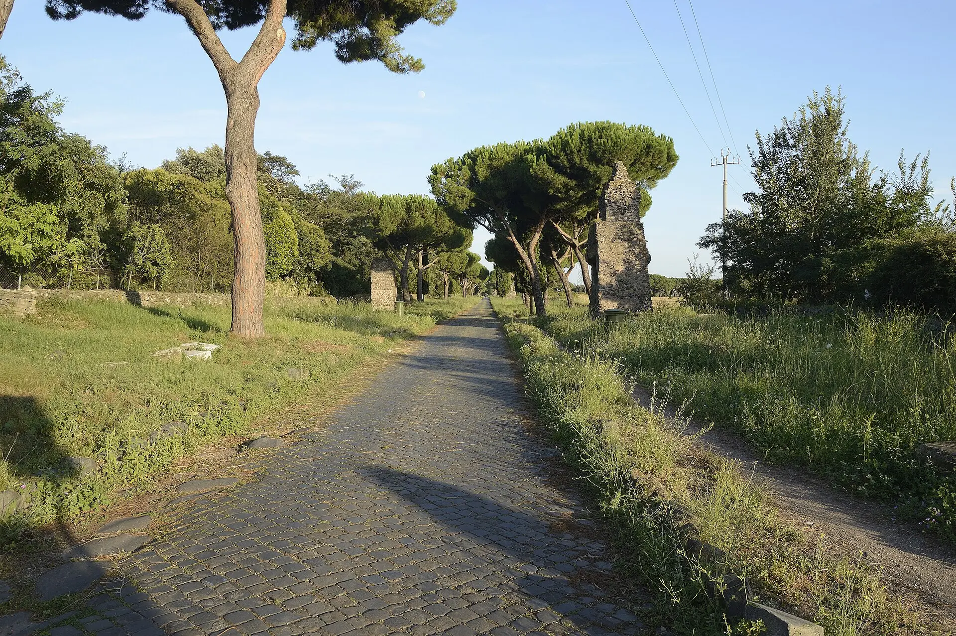 Antikes Straßenpflaster der Via Appia Antica, gesäumt von Pinien und Resten römischer Grabbauten