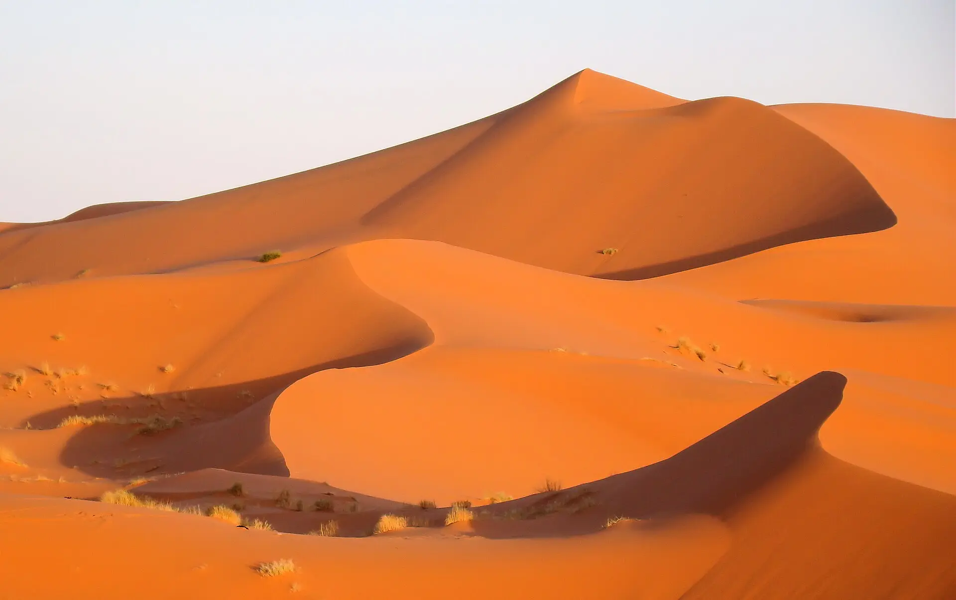 Orangefarbene Sanddünen des Erg Chebbi bei Merzouga im Abendlicht, einzelne Grasbüschel, heller Himmel