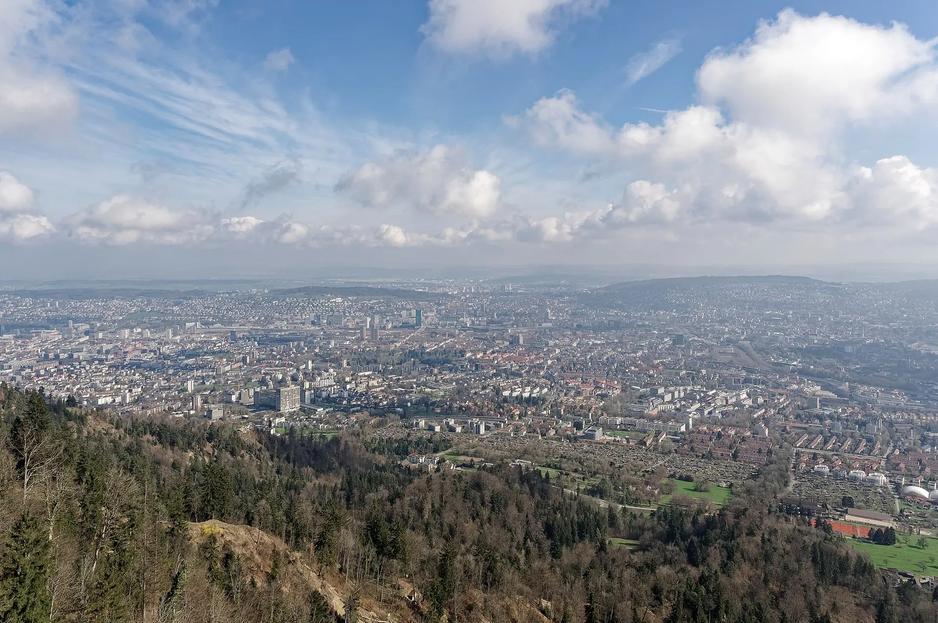 Blick vom Aussichtsturm auf dem Uetliberg über die Häuser von Zürich bis zum dunstigen Horizont, vorn Waldhang, rechts Familiengärten