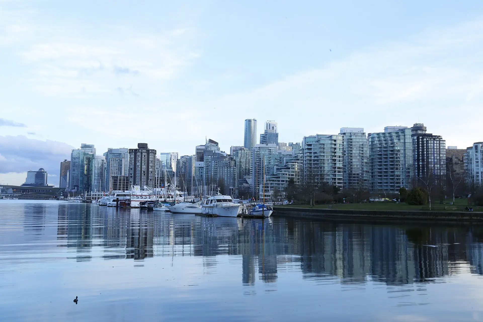 Hochhäuser von Downtown Vancouver spiegeln sich im stillen Wasser, davor ein Jachthafen mit weißen Booten, rechts eine Rasenfläche am Ufer